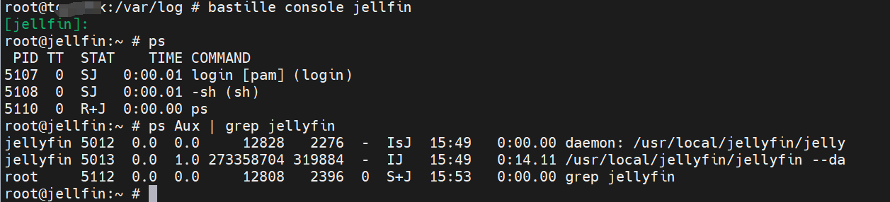 coding dev illustration